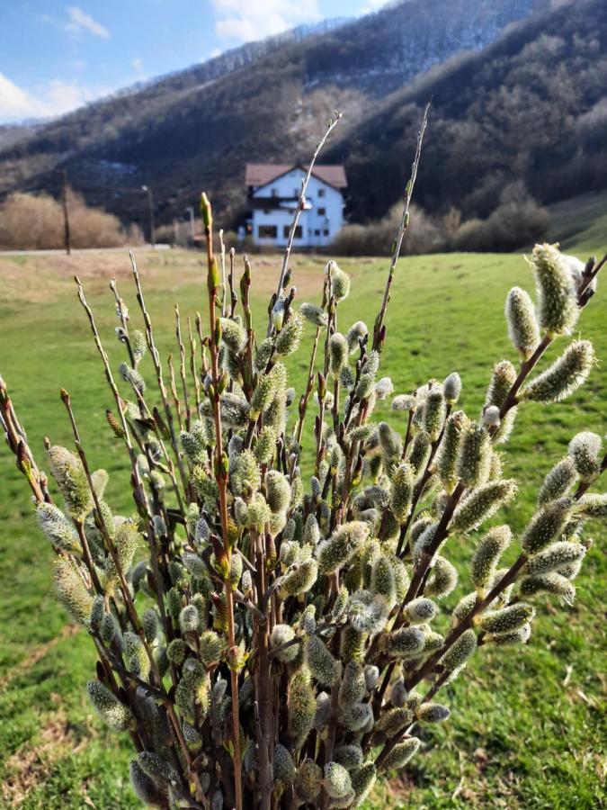 Pensiune Marginimea Sibiului Orlat Exterior foto