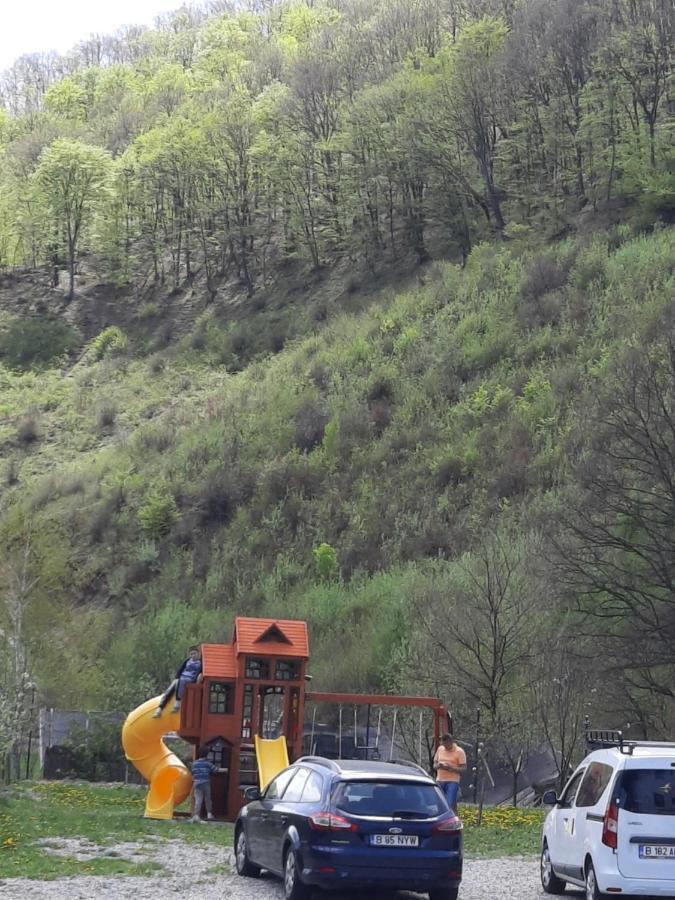 Pensiune Marginimea Sibiului Orlat Exterior foto