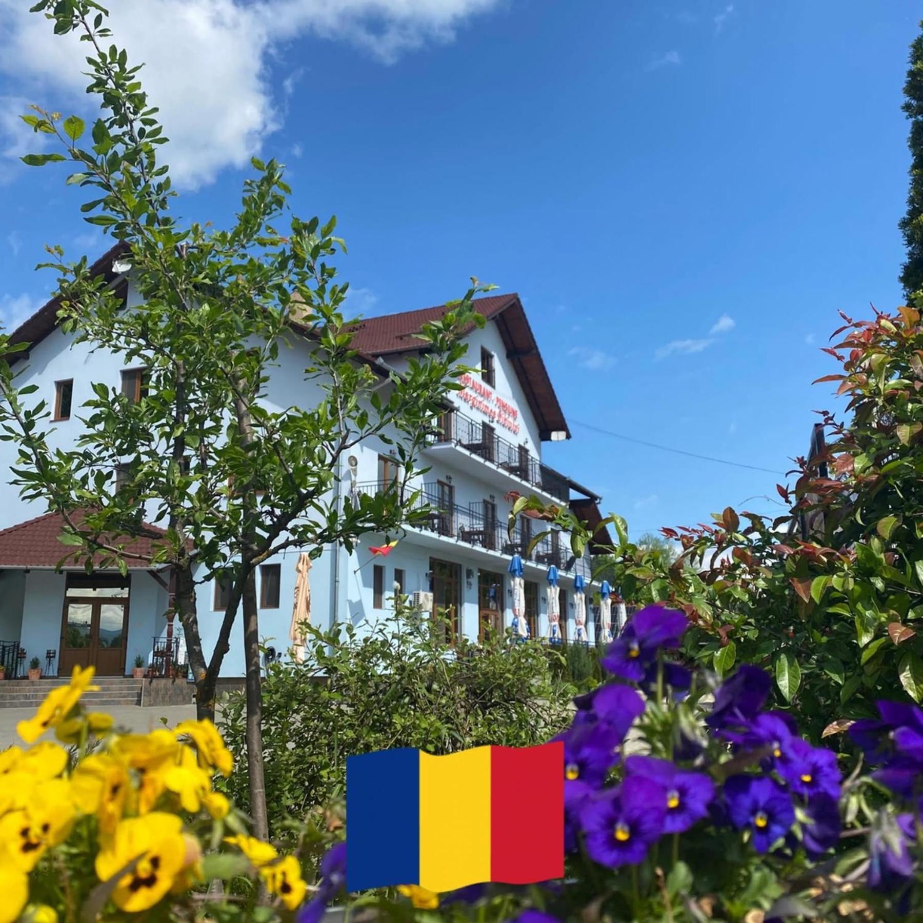 Pensiune Marginimea Sibiului Orlat Exterior foto